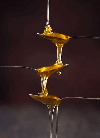 Как лечиться медом? Зачем нужна медовая вода? Все секреты природного десерта будут открыты в Медовый Спас (то есть сегодня)