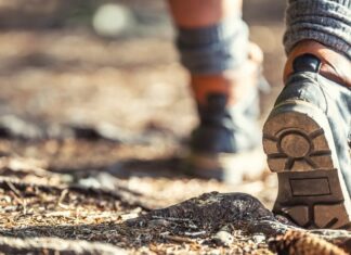 Скандинавська ходьба: тренування для всього тіла, яке варто спробувати