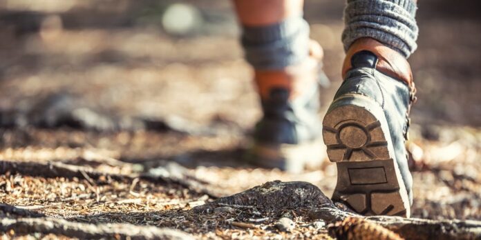 0173d564-9814-4093-ab44-03c48d8acebf