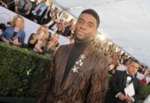 Спадщина Чедвіка Боузмена: сила уповільнення в гіпервзаємозв’язаному світі