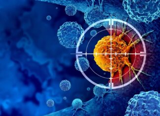 Нове антитіло демонструє багатообіцяючі результати в боротьбі з агресивним раком молочної залози