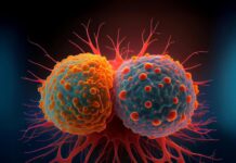 Вітамін А та його несподівана роль у раку: як він допомагає пухлинам уникати імунної відповіді