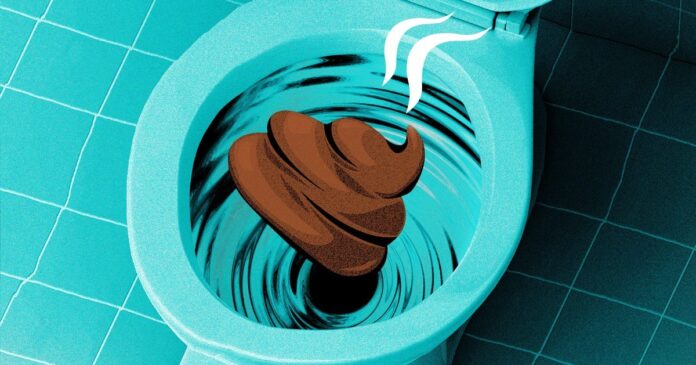 169af5d5-a4d9-4a0d-aa9b-e8b9ecdb849a