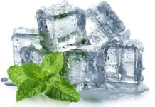 Наука про Освіжаюче Відчуття: Як М’ята Обманює Ваш Мозок, Створюючи Відчуття Холоду