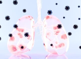 Зростаюча кількість випадків метапневмовирусу людини: що потрібно знати