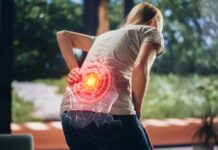 La découverte d’hormones offre une avancée potentielle pour les maux de dos chroniques