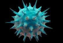 Новий варіант COVID-19 «Цікада» частіше зустрічається у дітей