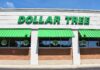1,50 $ Lemon Jars at Dollar Tree: Letní hit, který se houfně prodává