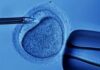 IVF: Historie, alternativy a jak tento proces funguje